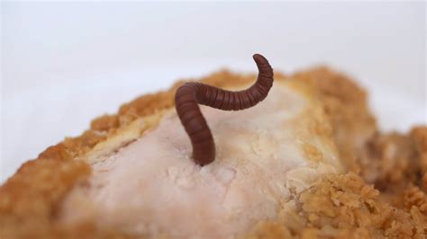 A Worm Inside a Chili